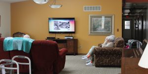 Young Home for the Elderly - Warren, MI