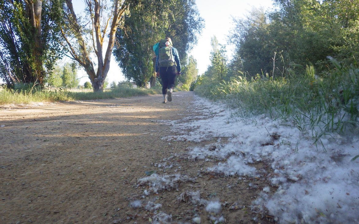 Full Day of Walking The Old Roman Road - Camino De Santiago – Day 18