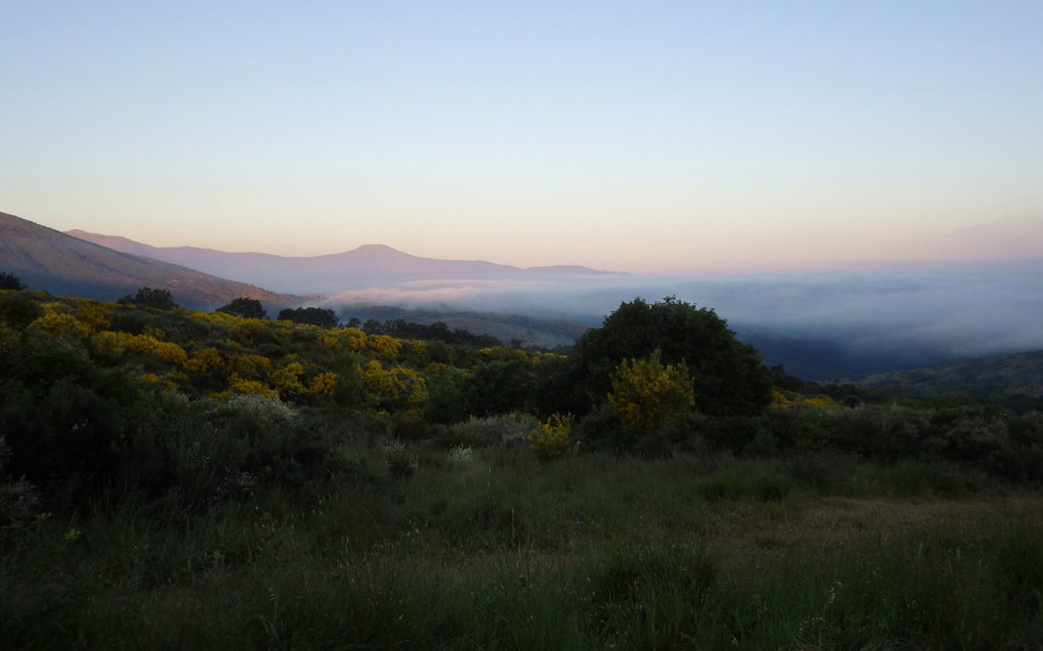 Private Albergues - Camino De Santiago – Day 24